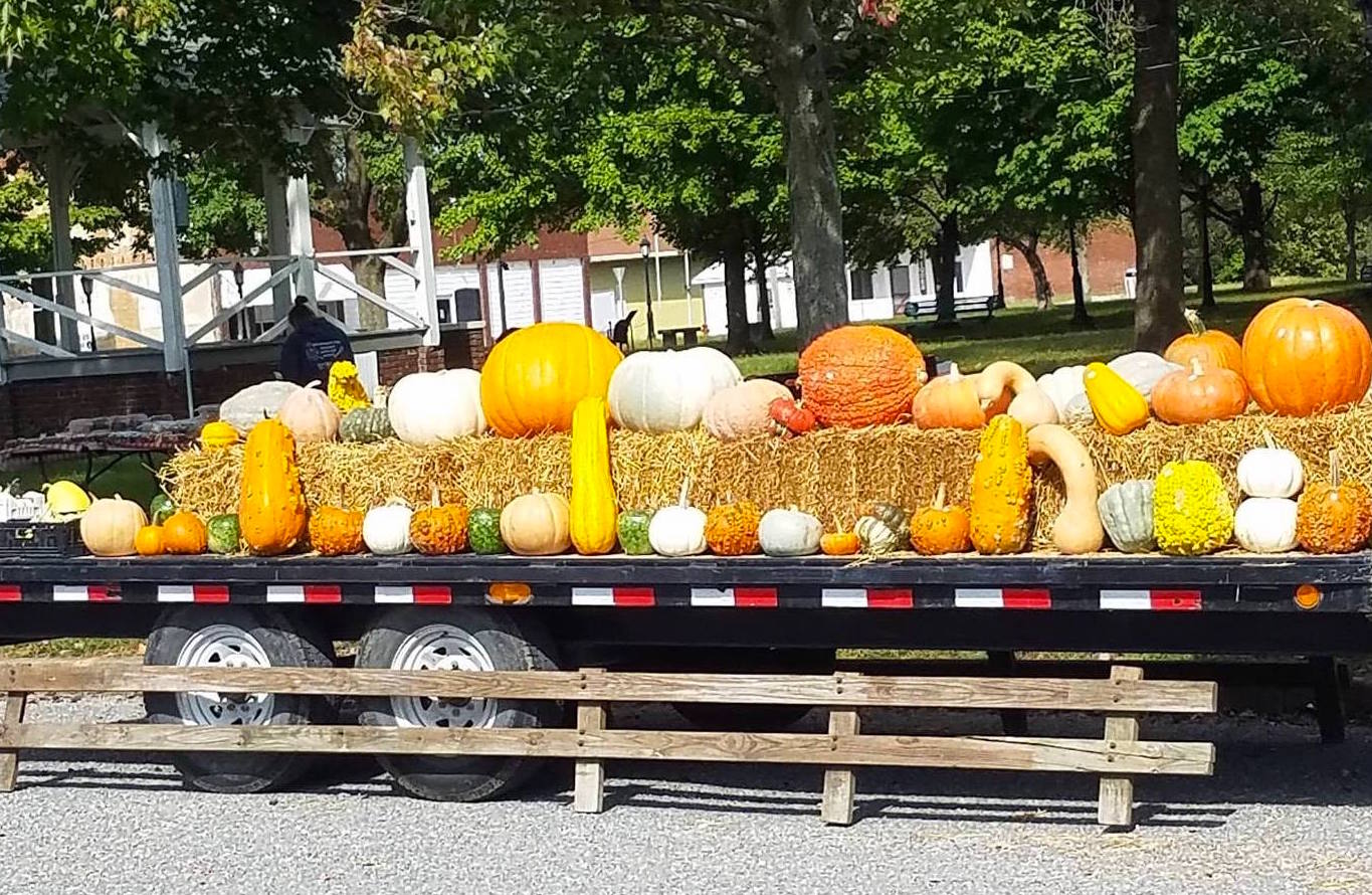 Pumpkin vendor at the Fall Fun Fest, Fairfield, Il