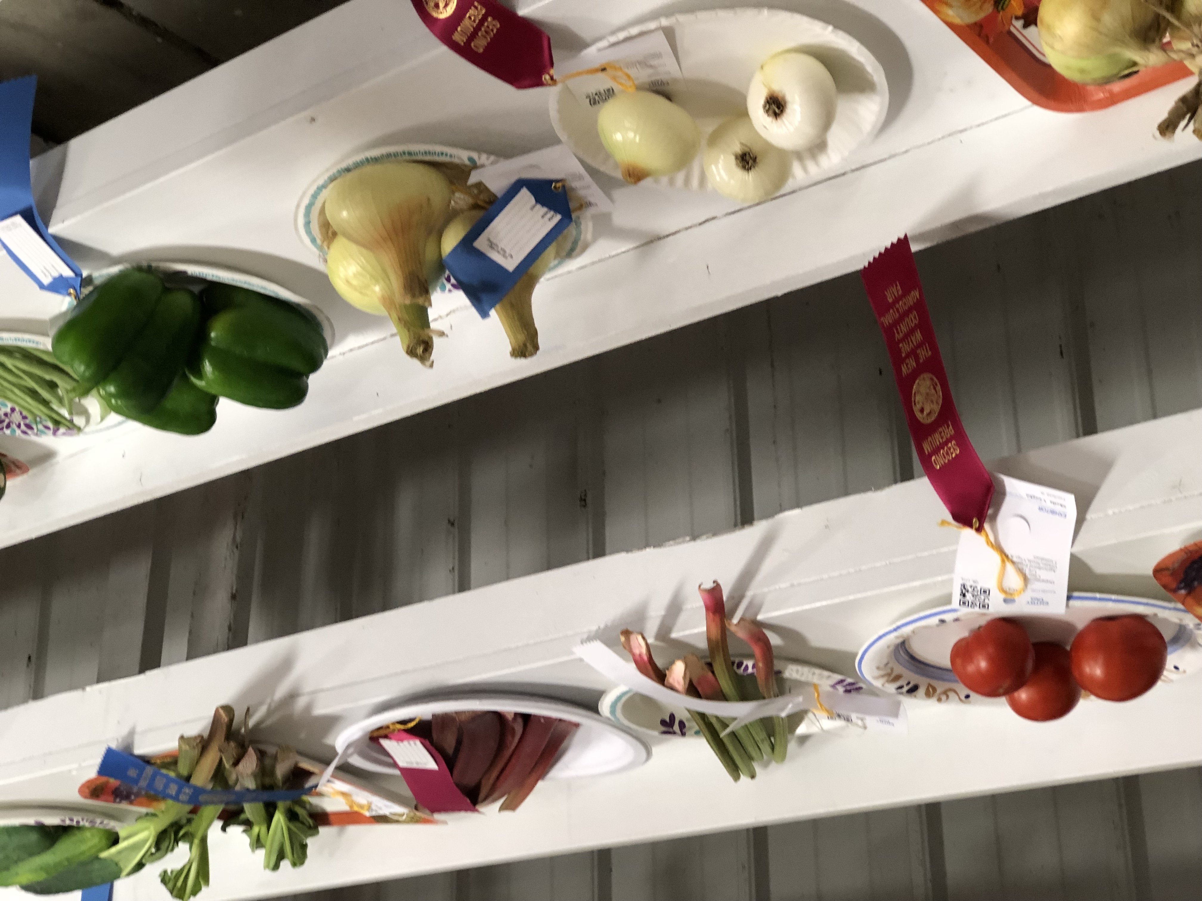 Winning fruits and vegetables, with ribbons, at 4H show competition