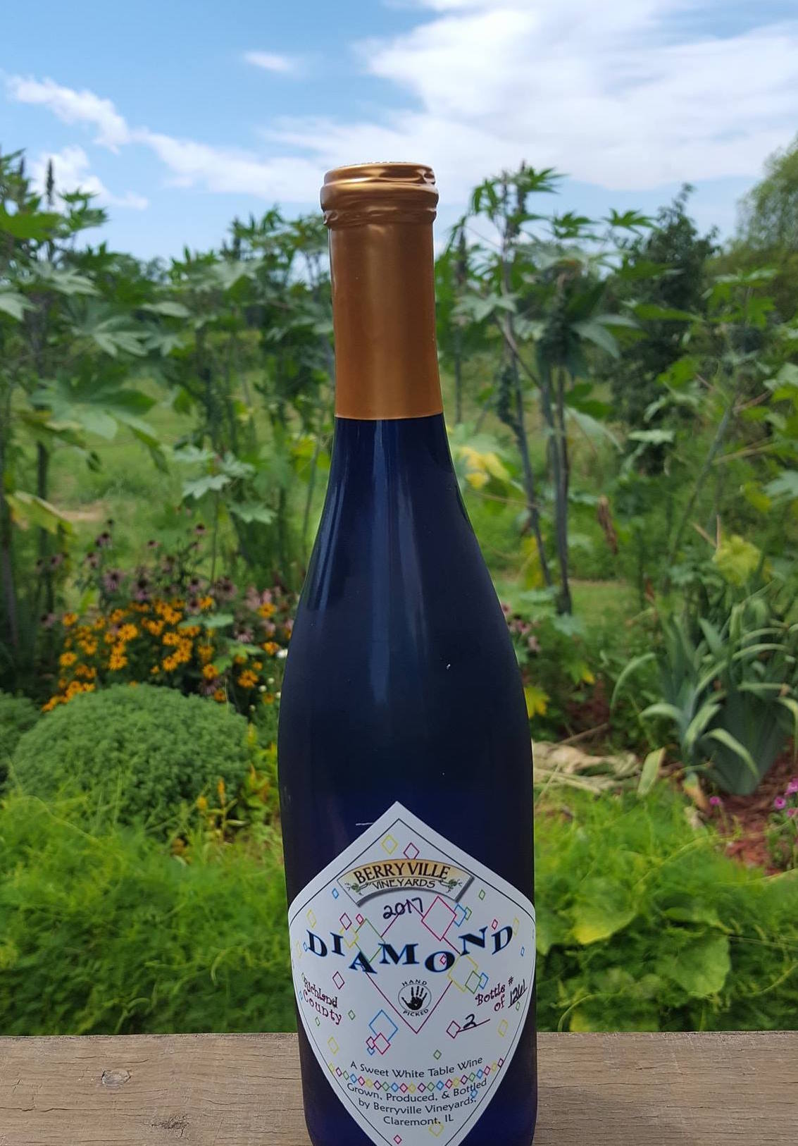 Bottle of wine at the Berryville Vineyard