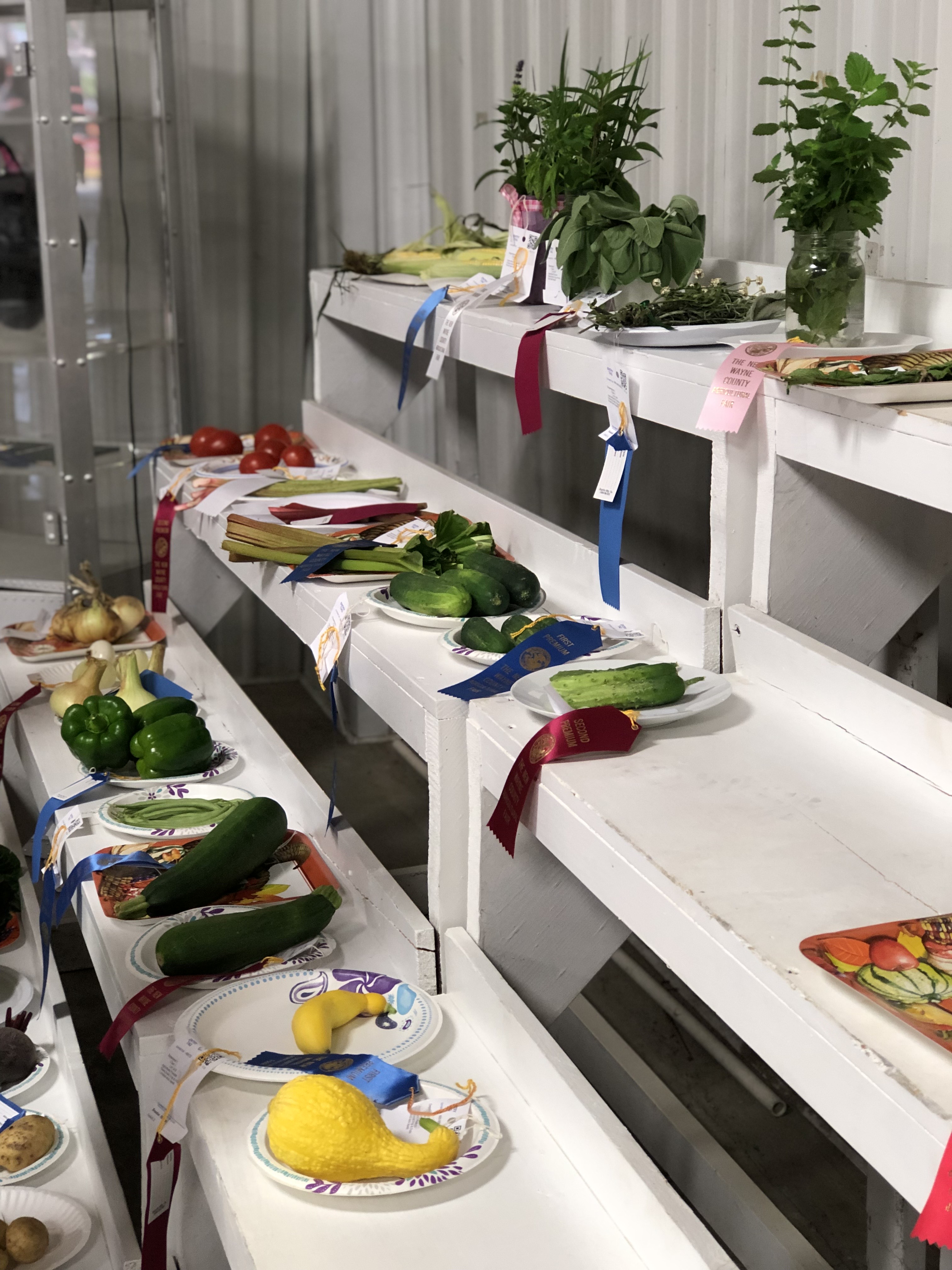 Winning fruits and vegetables, with ribbons, at 4H show competition