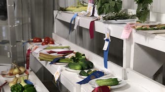 Winning fruits and vegetables, with ribbons, at 4H show competition