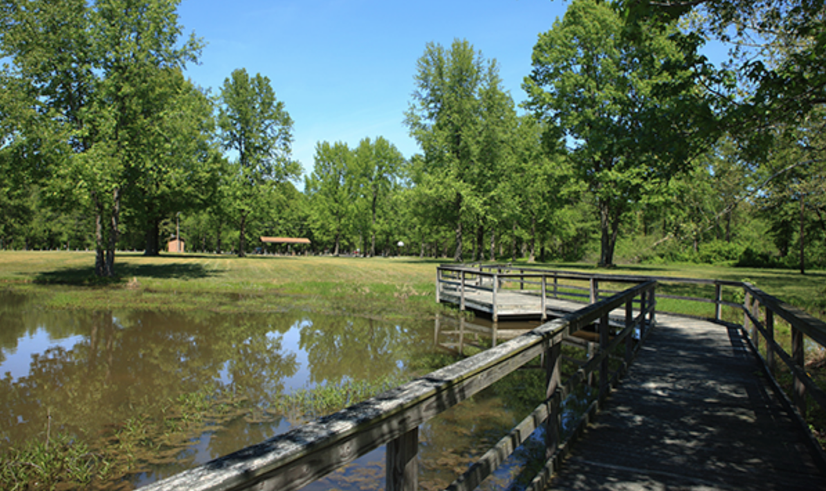 Sam Dale lake with trees and bridge