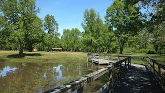 Sam Dale lake with trees and bridge