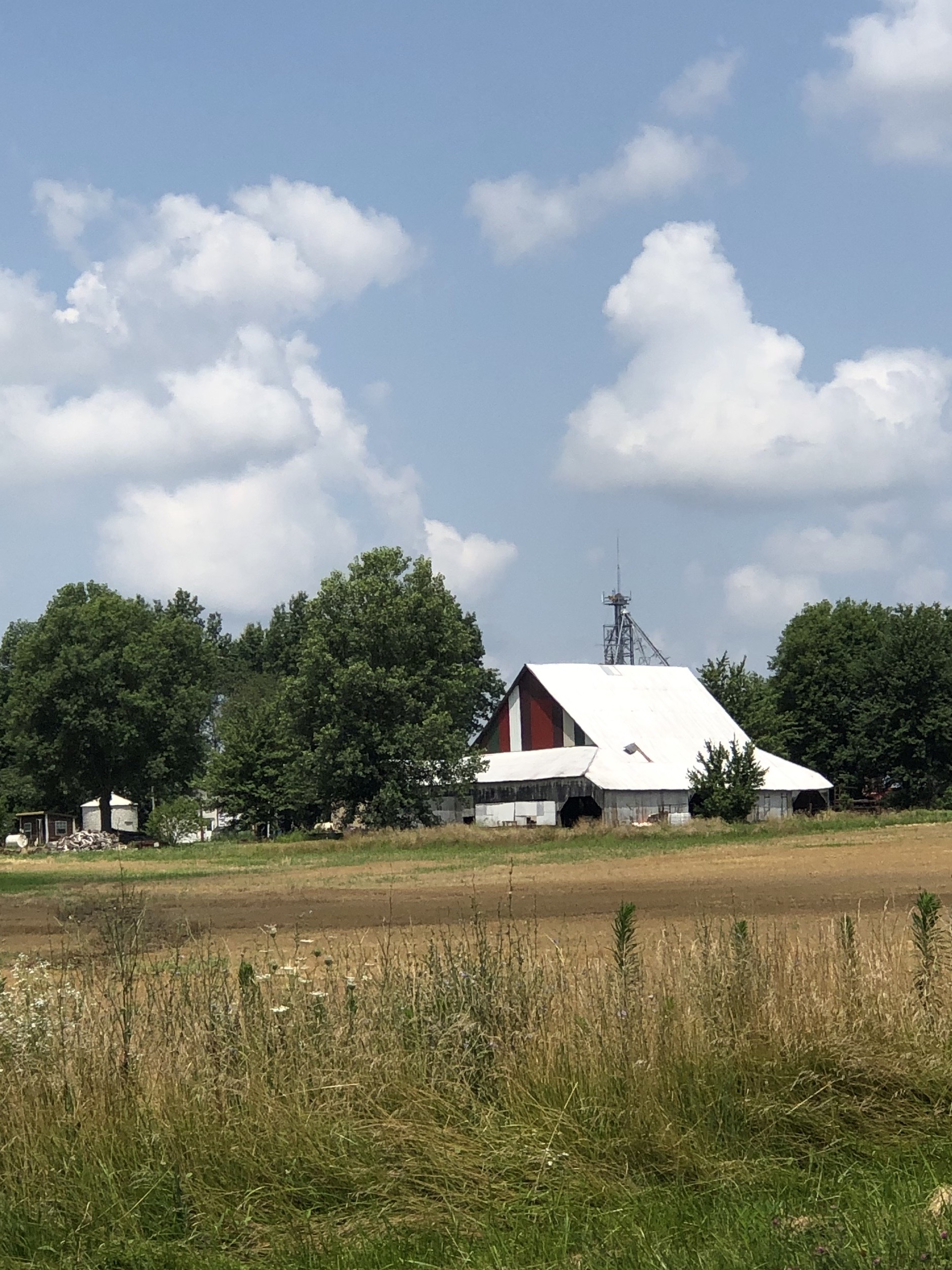Field with red & white barn near Fairfield, Il