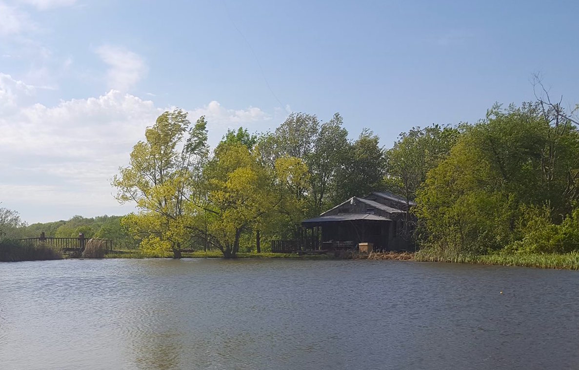 Lake at Berryville Vineyard - an attraction near The Victorian on Main, Fairfield, Il.
