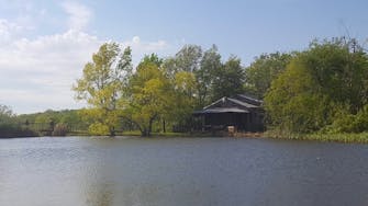 Lake at Berryville Vineyard - an attraction near The Victorian on Main, Fairfield, Il.
