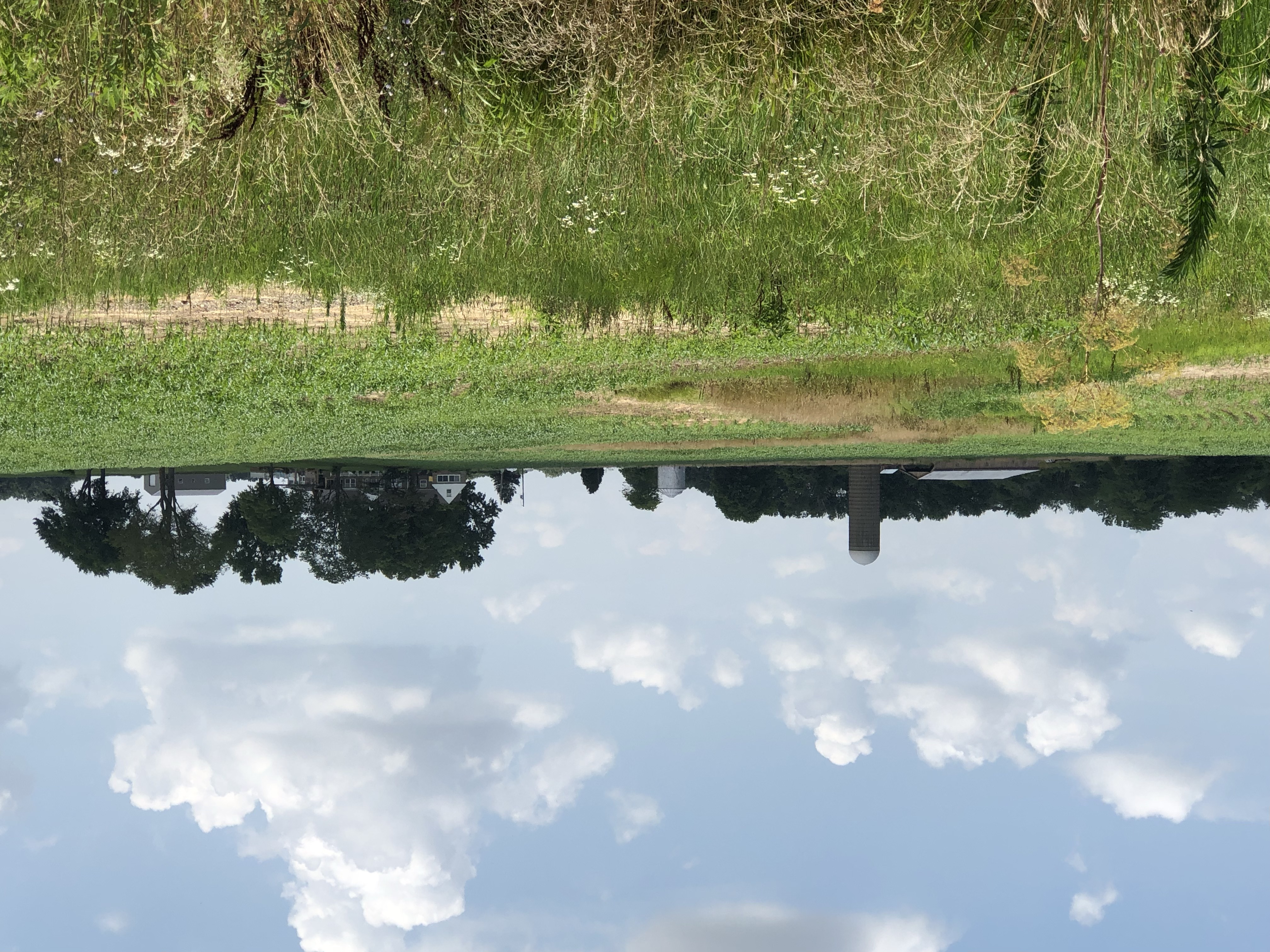 Field with silo near Fairfield, Il