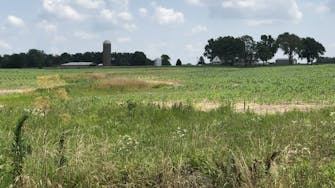 Field with silo near Fairfield, Il