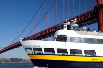 Fisherman's Wharf & Pier 39 Insider's Guide - Dylan's Tours