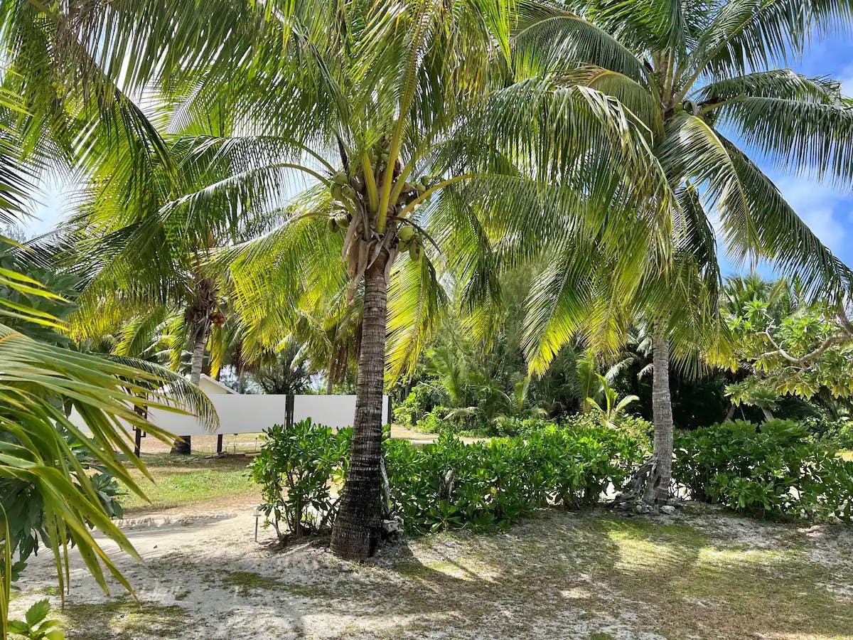 Home | Tai’inu Bungalows