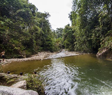 Enjoy the nature with the rainforest ambience at Gepai Falls nearby TheCedar@Bidor