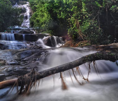 Crystal clear water flowing down with the sound of nature in the rainforest