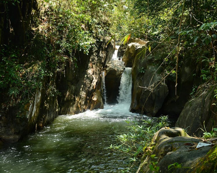 Crystal clear water flowing down with the sound of nature in the rainforest
