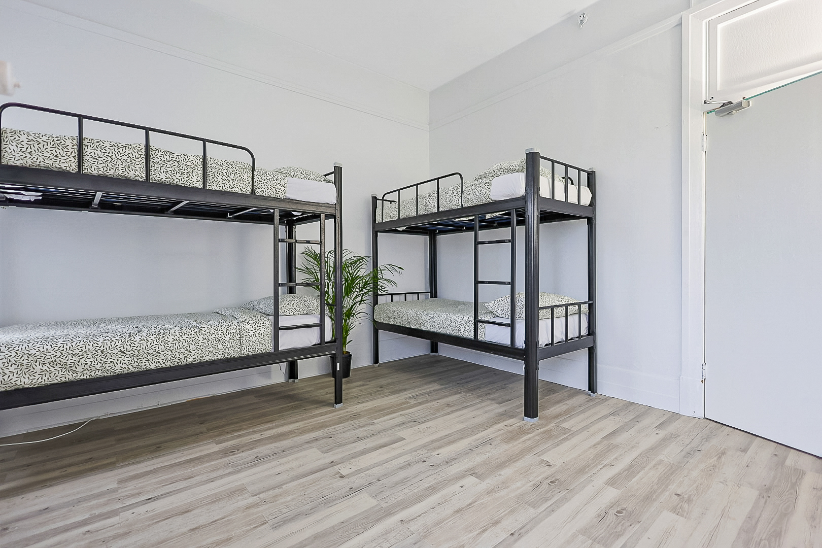 Spacious 4 Bed Deluxe Dorm