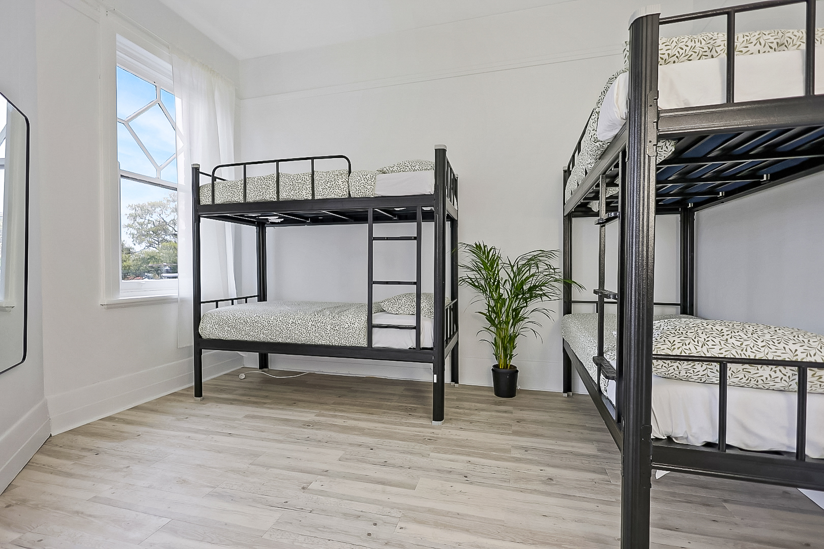 Spacious 4 Bed Deluxe Dorm