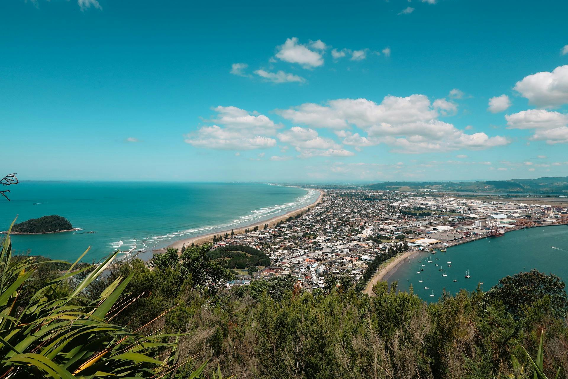 backpacker-jobs-in-tauranga-mount-backpackers