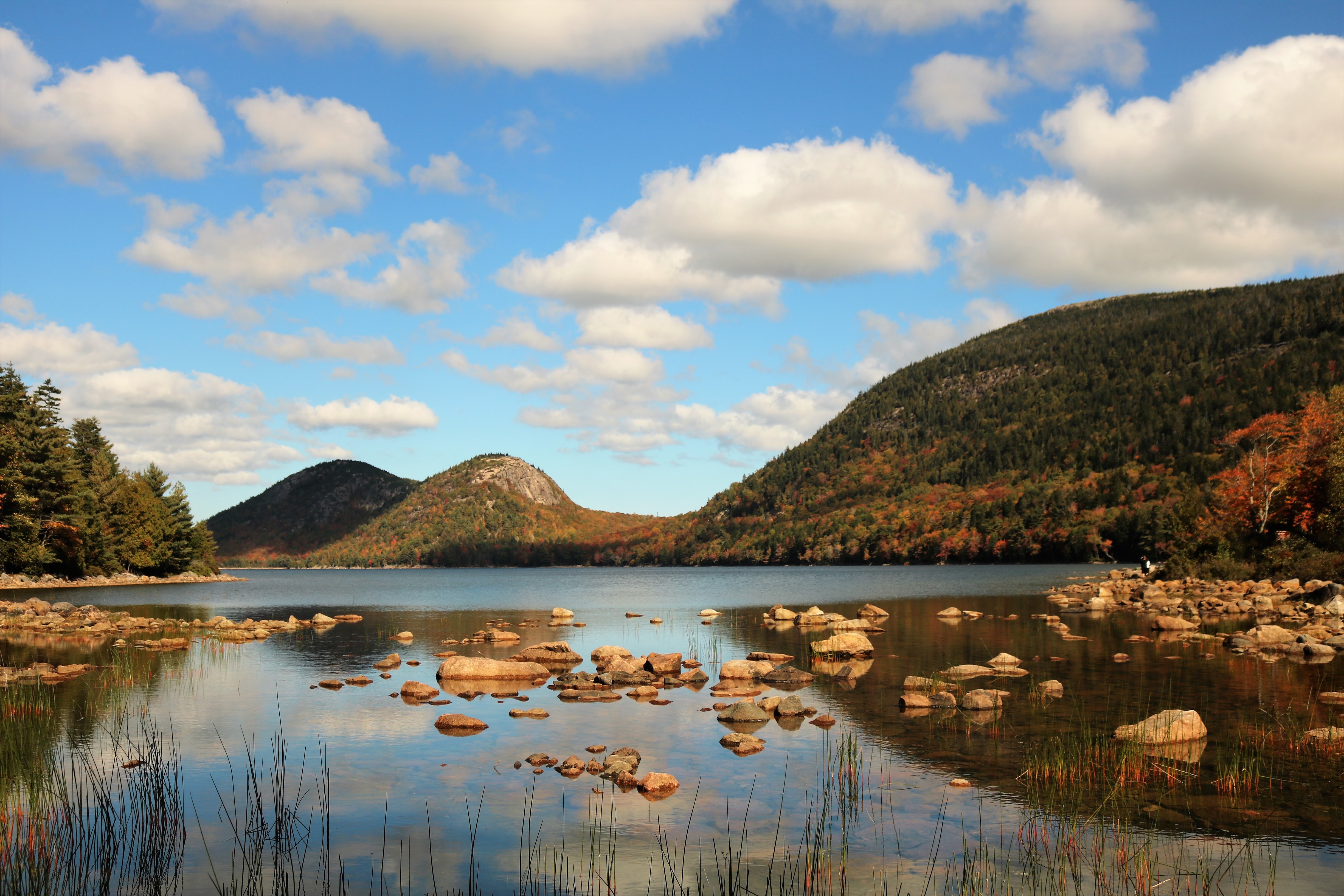 Welcome to nature in Acadia