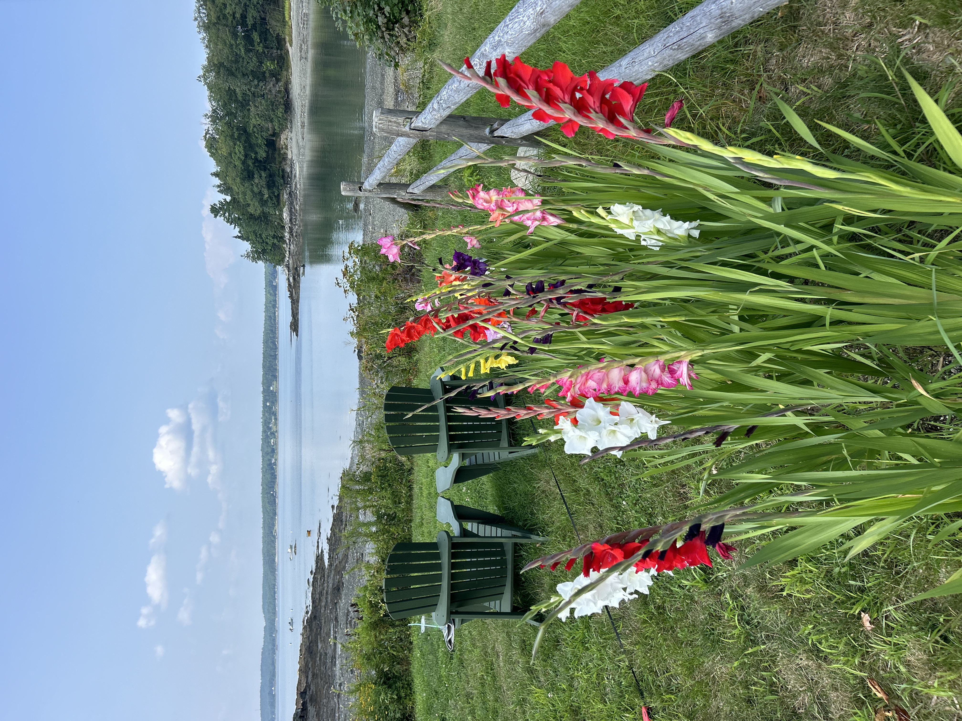 Bay Meadow Cottages — photo 12 of 60