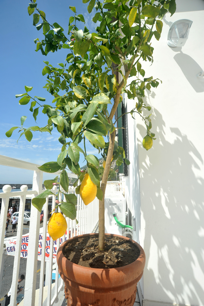 @CoreAmalfitano #CoreAmalfitano Amalfi, Amalfi Coast, Hotel Amalfi, Soggiorno Amalfi, Hotel Covid Free, Hotel Spiaggia