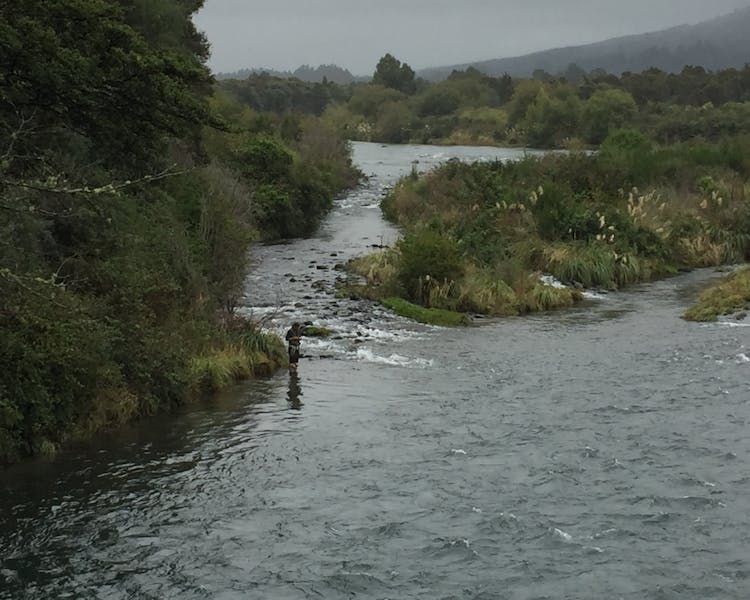 Tongariro River man fishing for trout