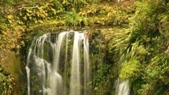 Tupapakurua Falls, National Park, New Zealand