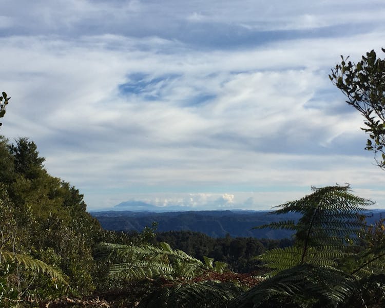 Mount Taranaki lookout from Erua forest