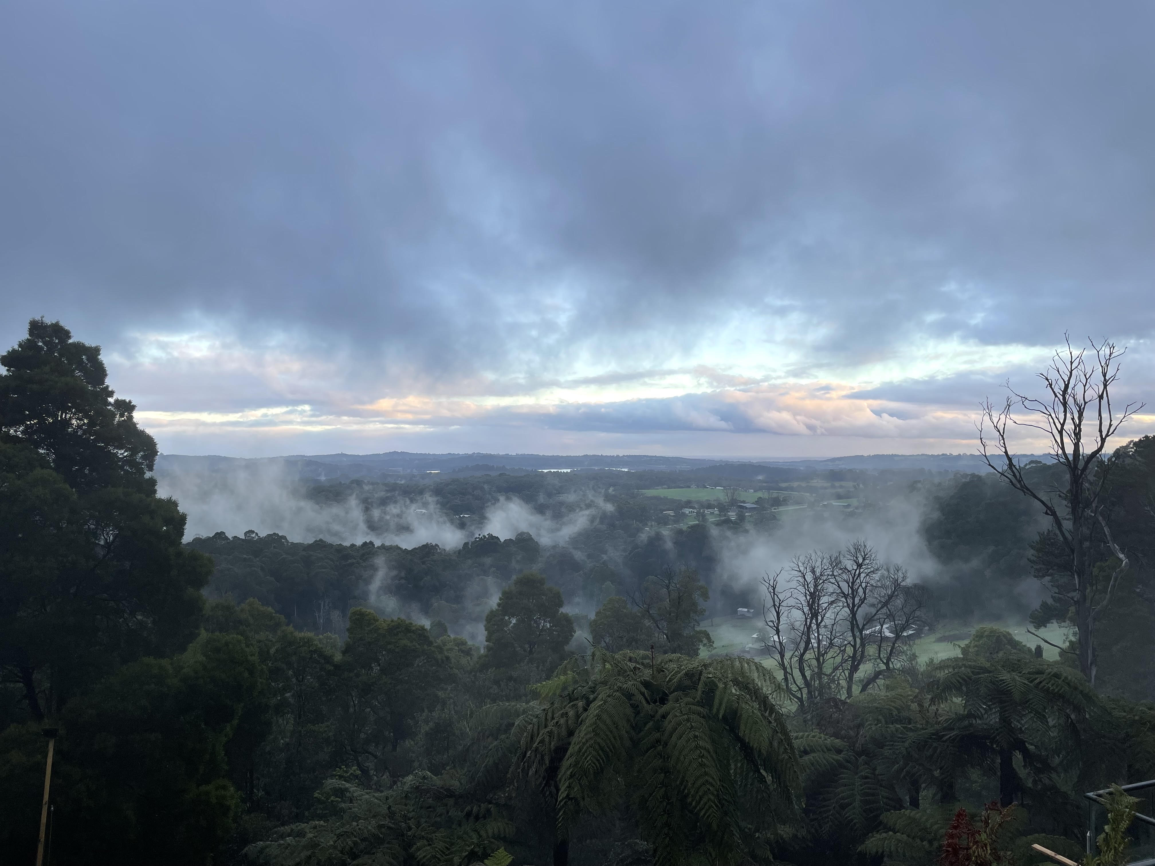 Forest Mountain View