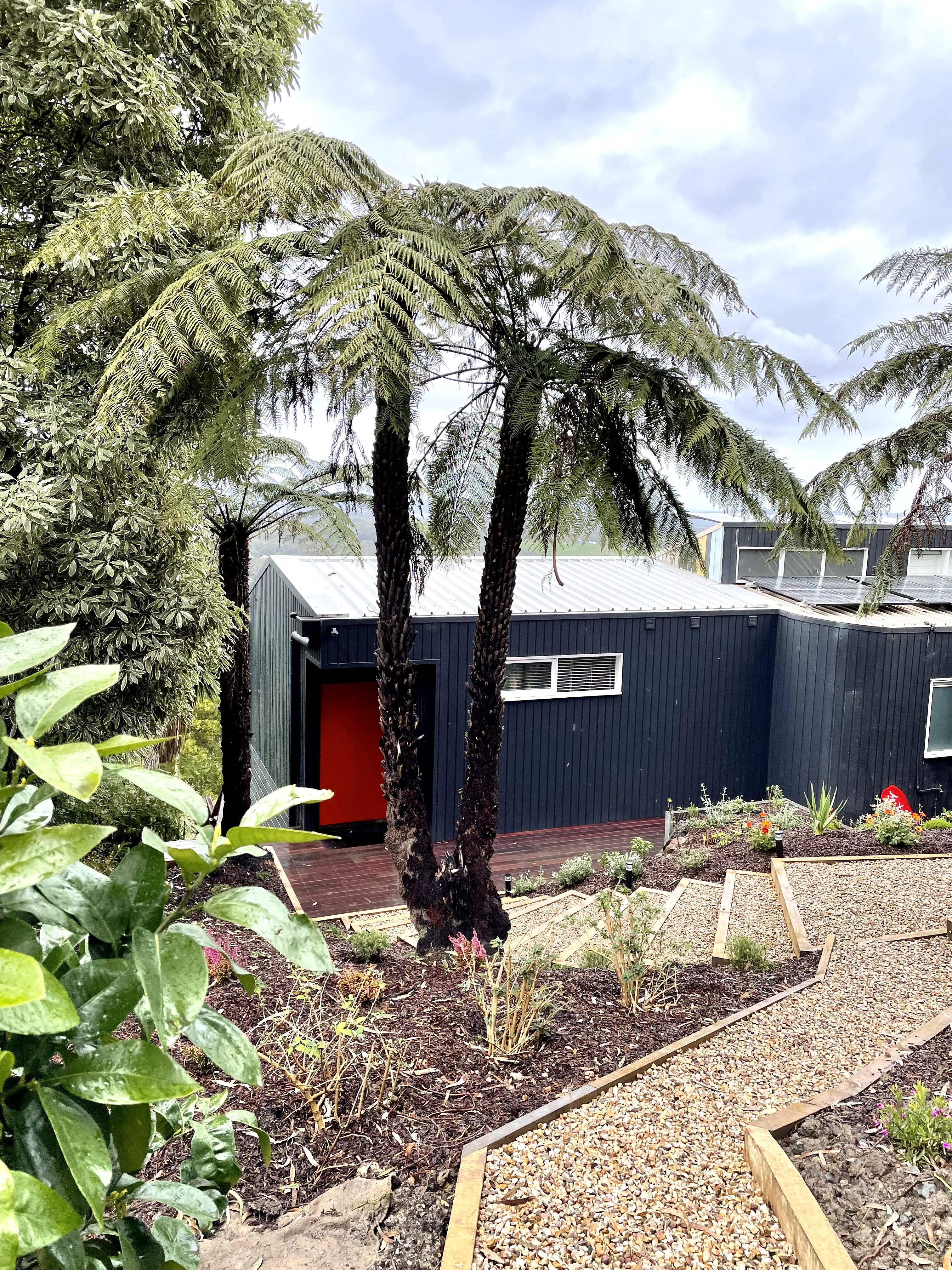 Outdoor Stairway View