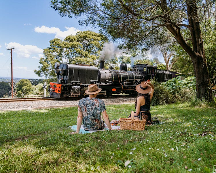 Couple sitting on the grass while looking the train
