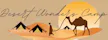 Desert Wonders Camp
