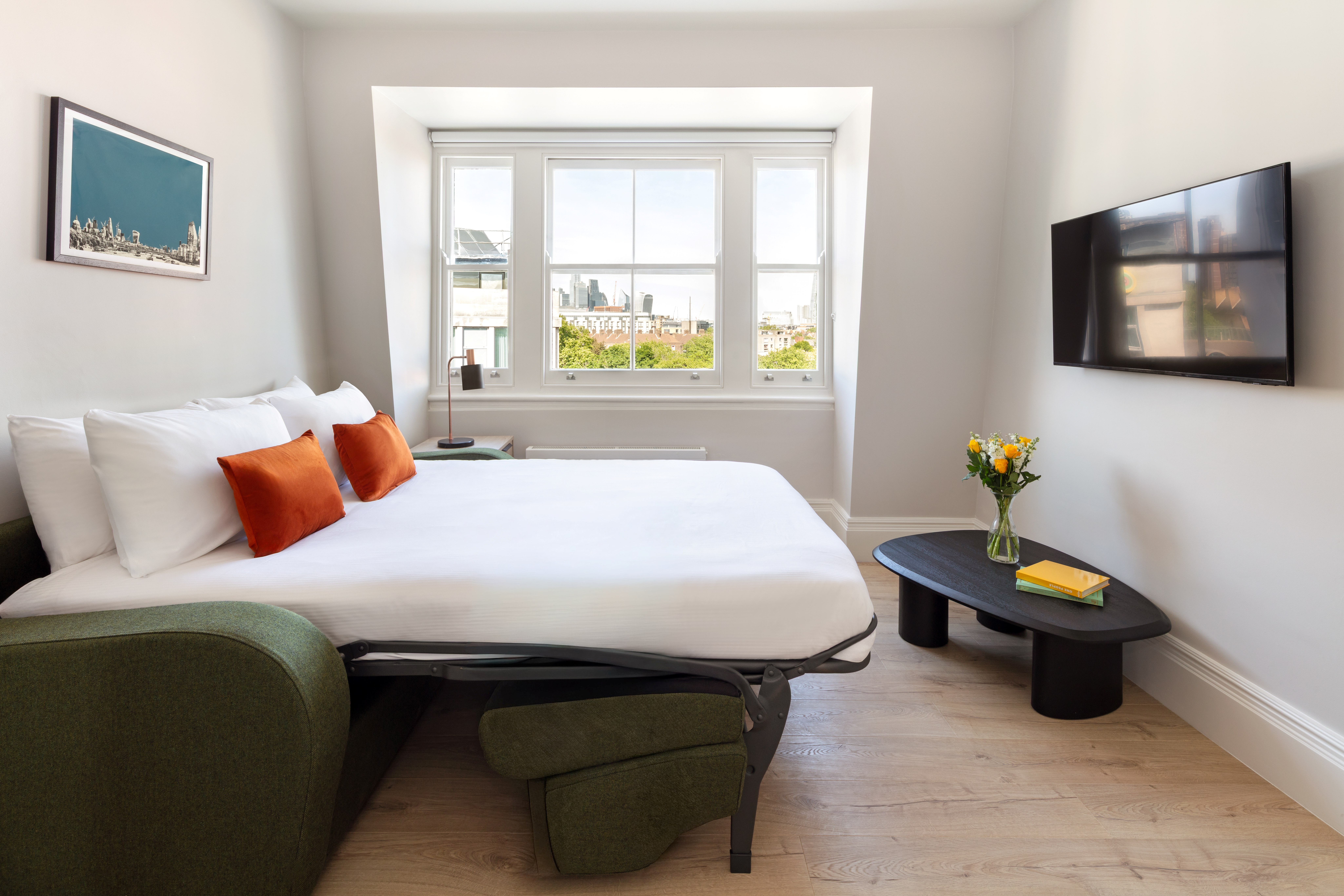 Living space with sofabed