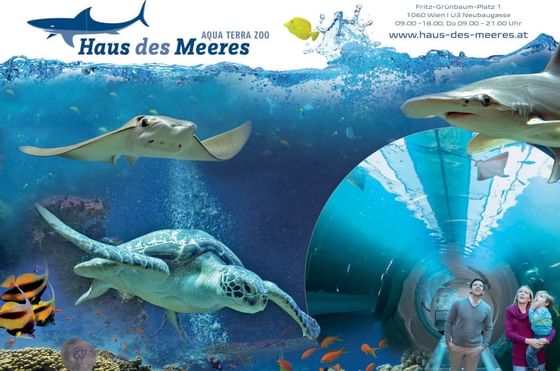 Wien Vienna Haus des Meeres Aqua Terra Zoo Copyright Haus des Meeres