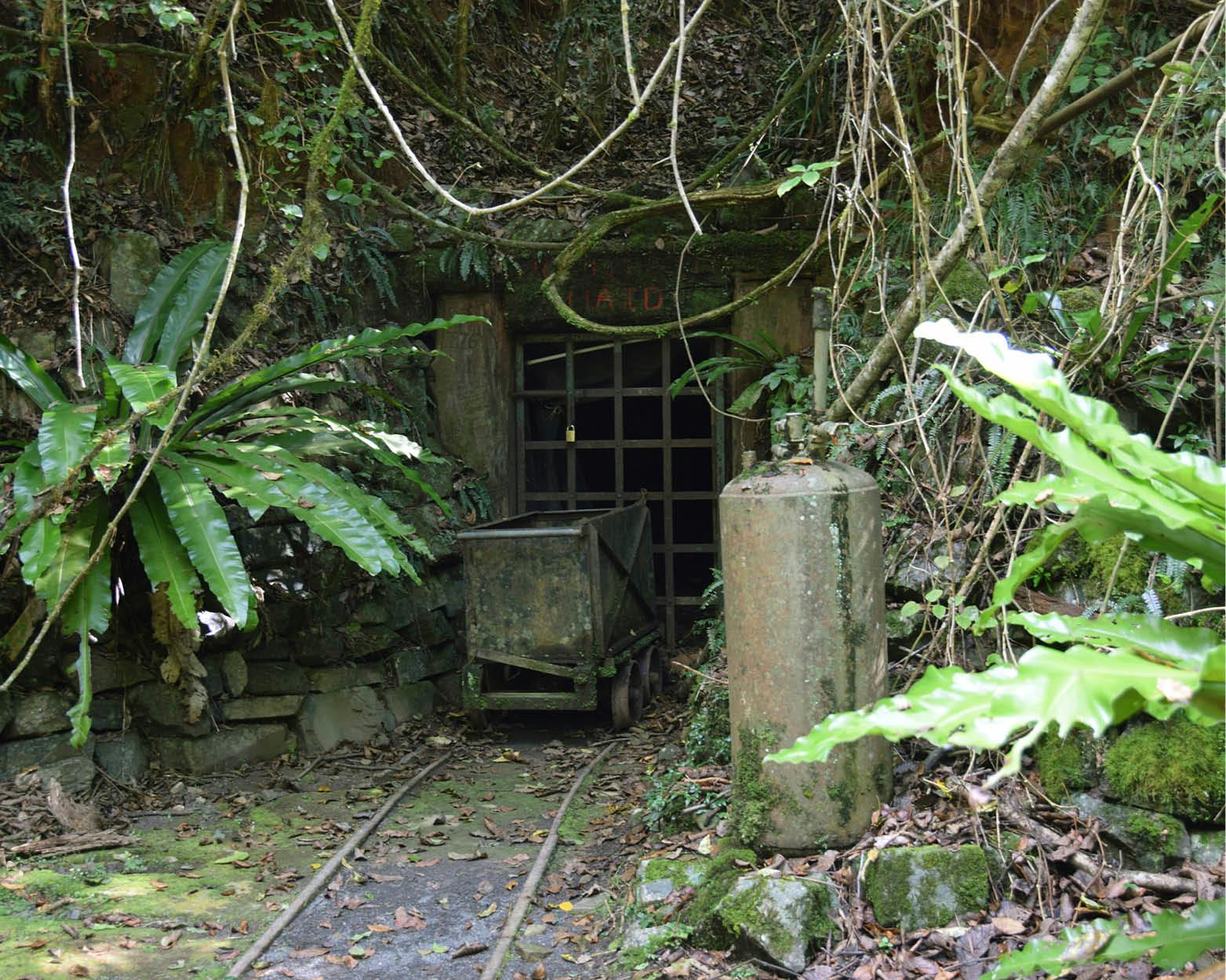 Book a guided tour of the Mountain Maid Goldmine area during your stay at Copeland House
