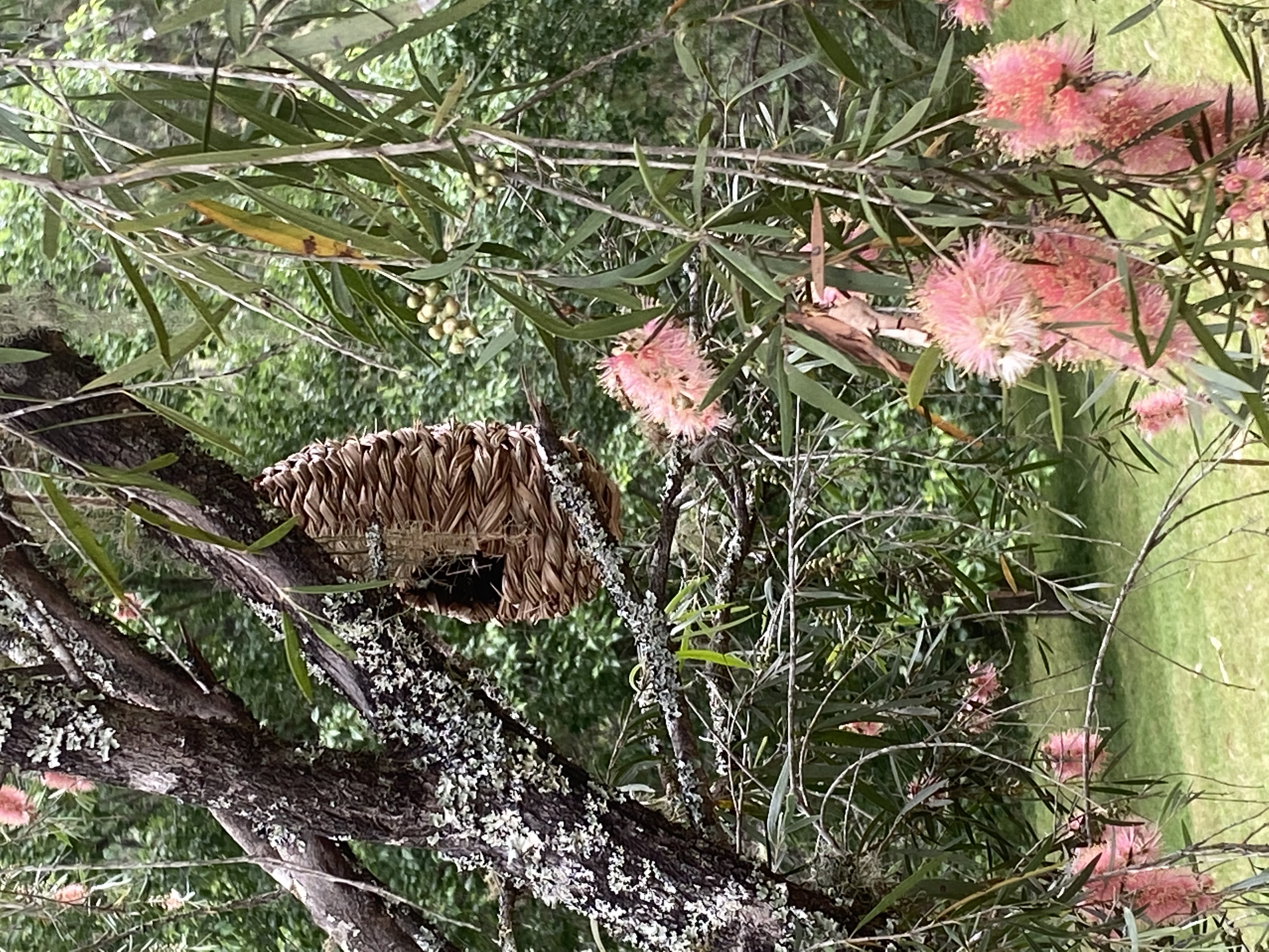 There's a bed for all creatures great and small up here