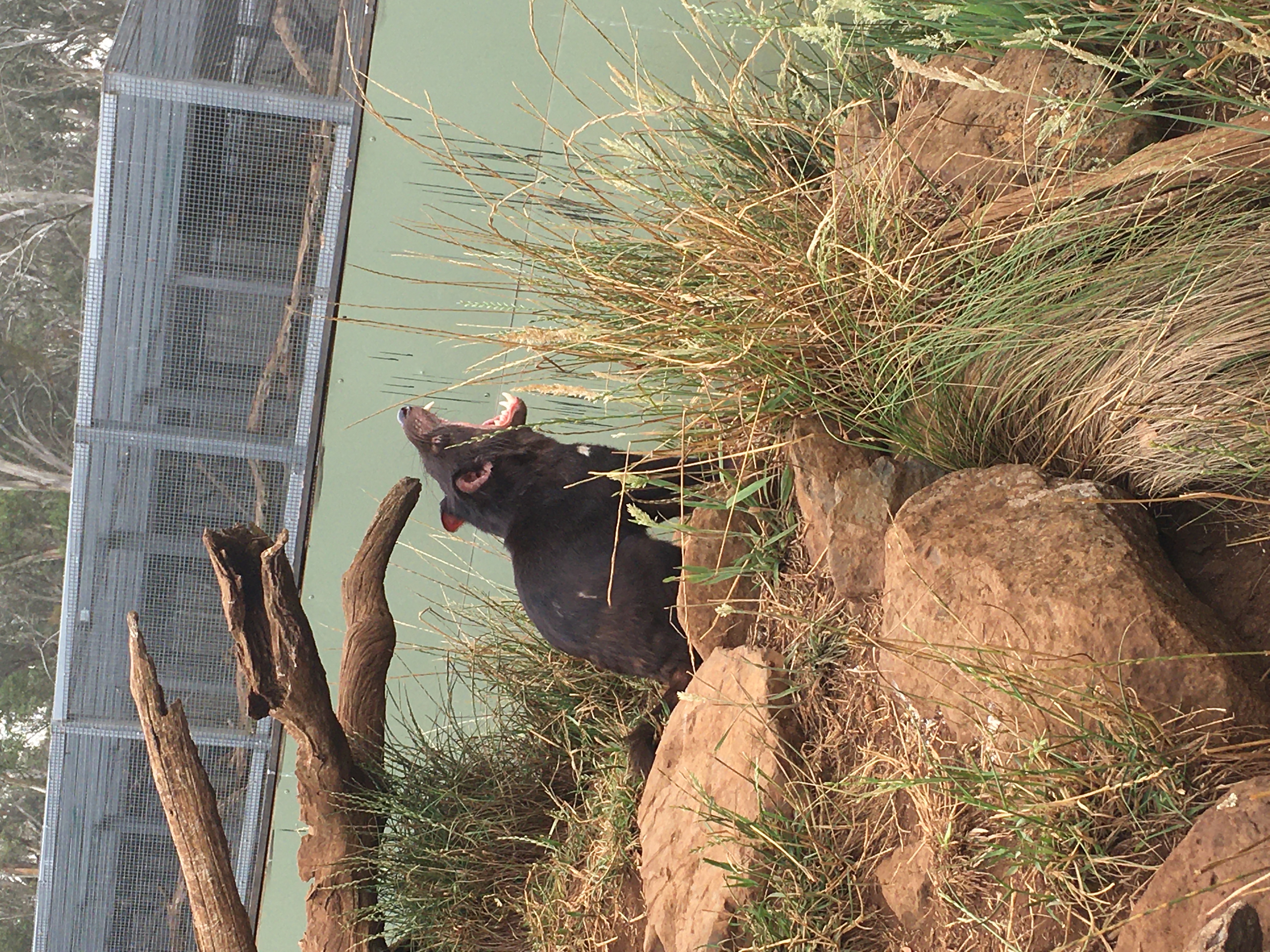 A visit to Aussie Ark is a visit worth making