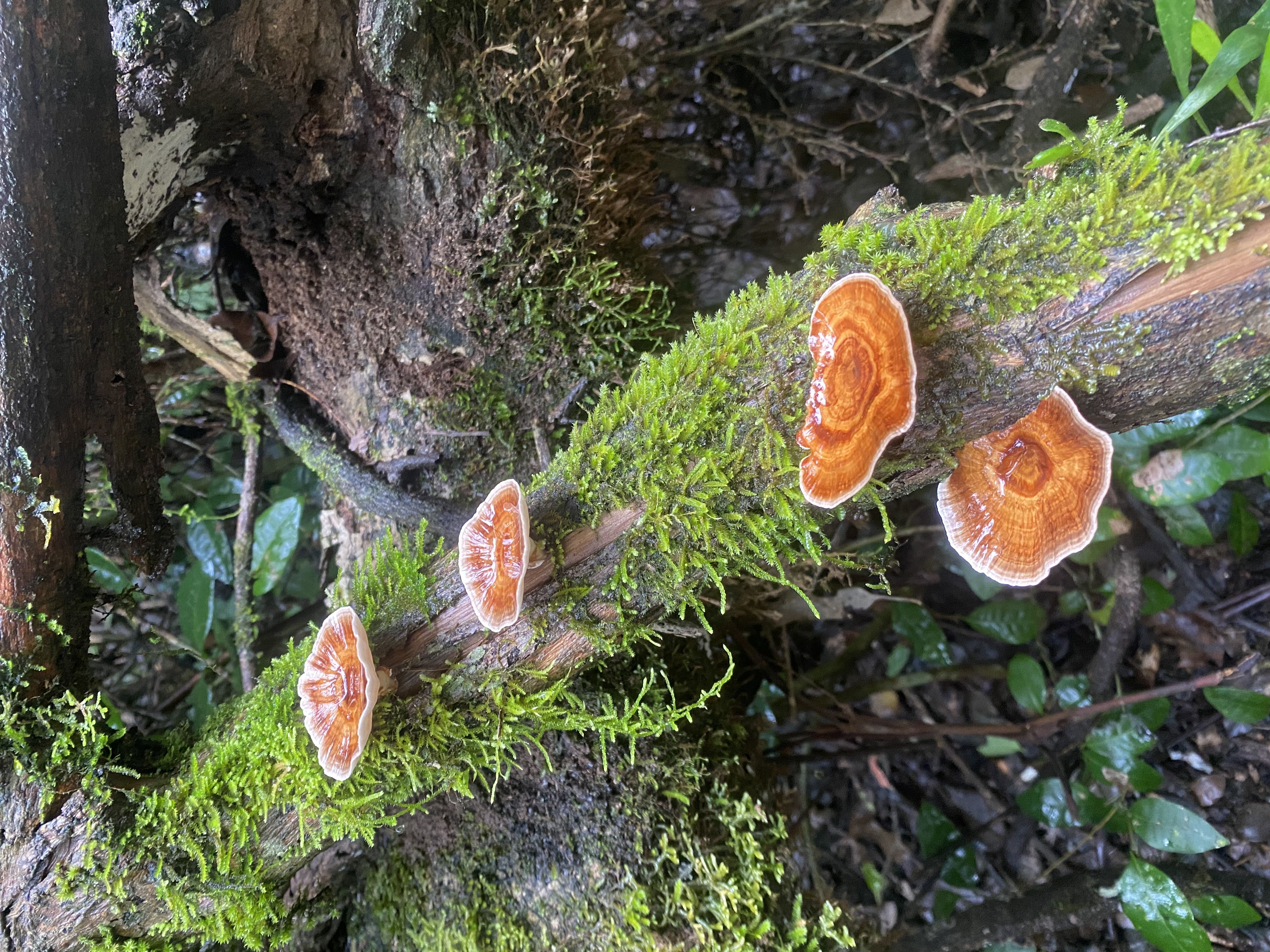 Add a little rain...