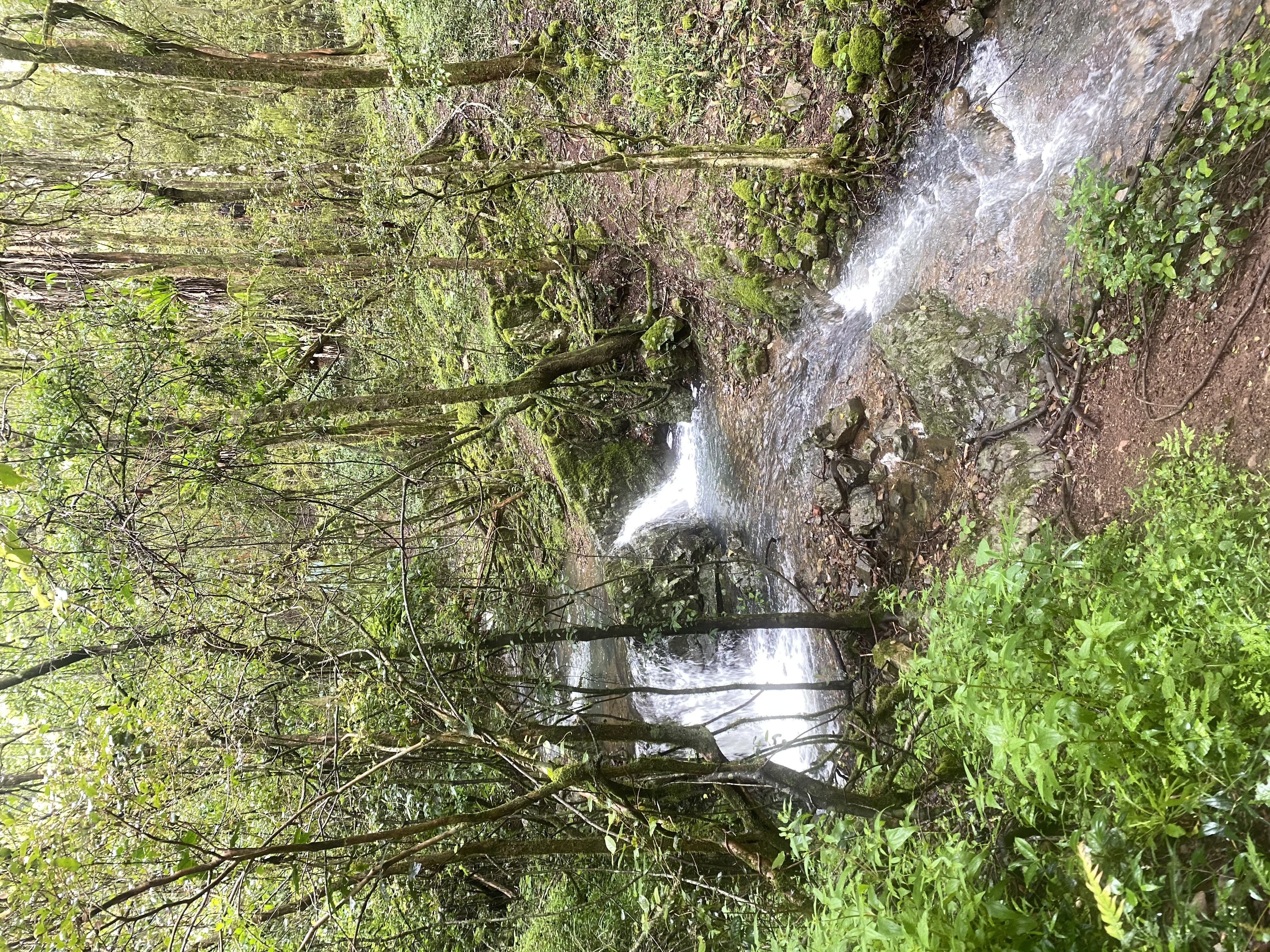 The magic of a little water