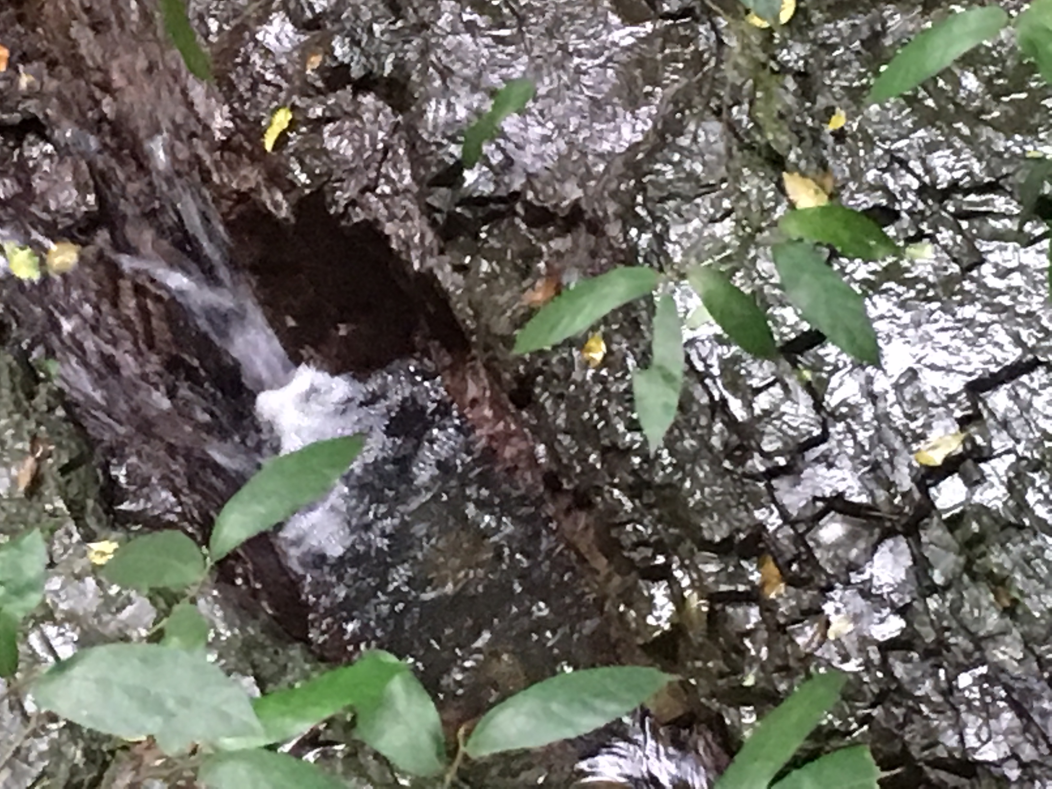 Love to hear the water running