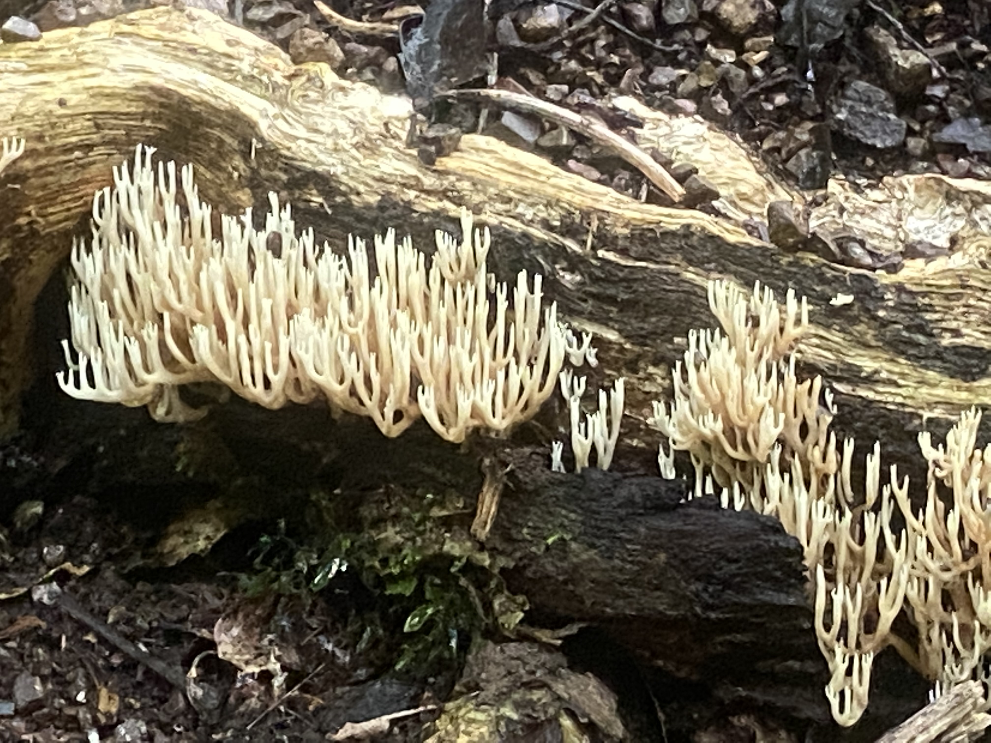 This one's for the National Geographic