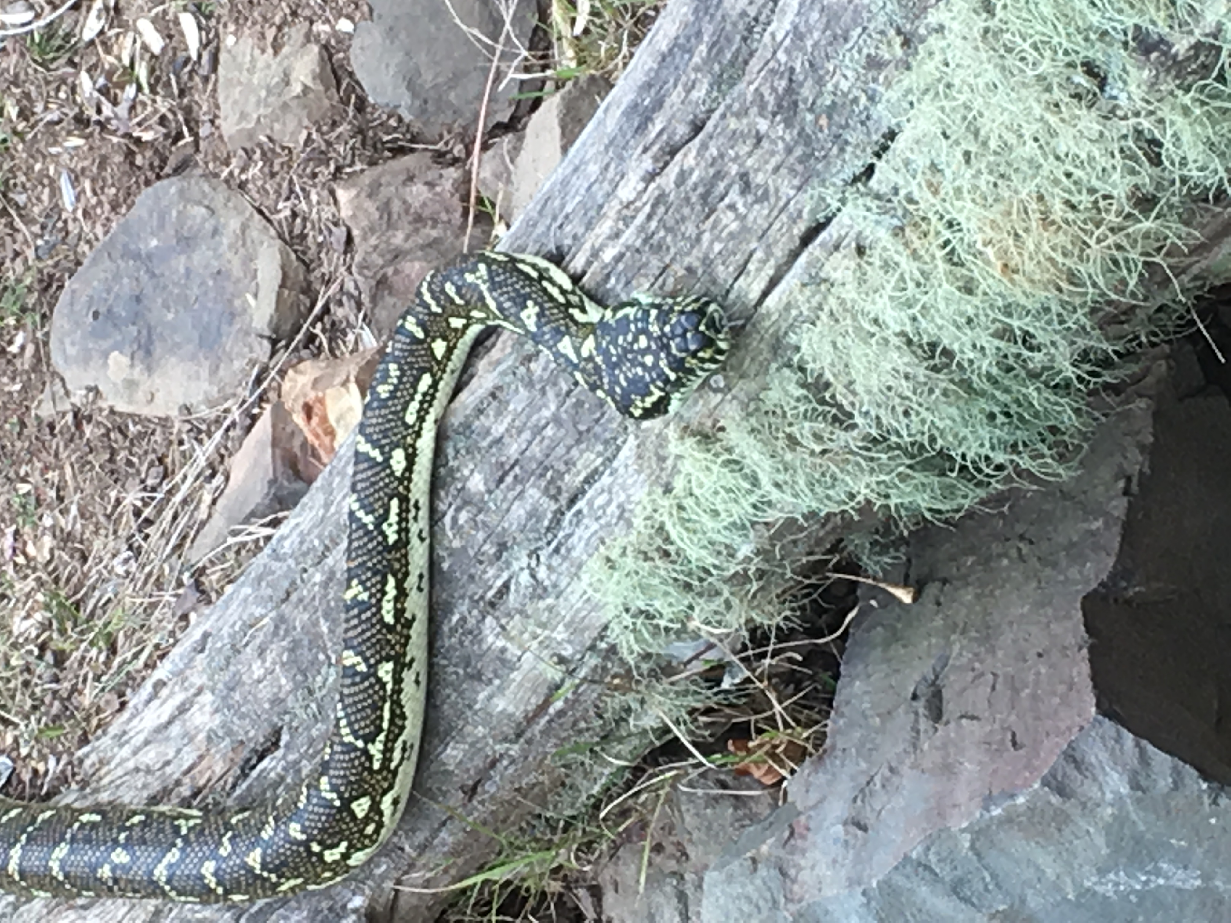 Sssssoooo good to see you...