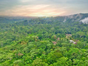 Suchipakari Amazon Lodge | Jungle Tours | Ecuador | South America 1