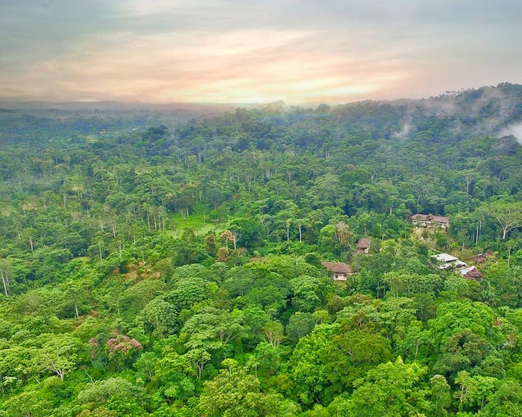 Suchipakari Amazon Lodge | Jungle Tours | Ecuador | South America