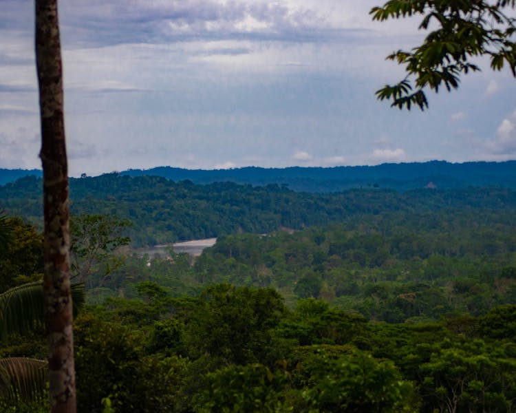Suchipakari Amazon Lodge | Jungle Tours | Ecuador | South America