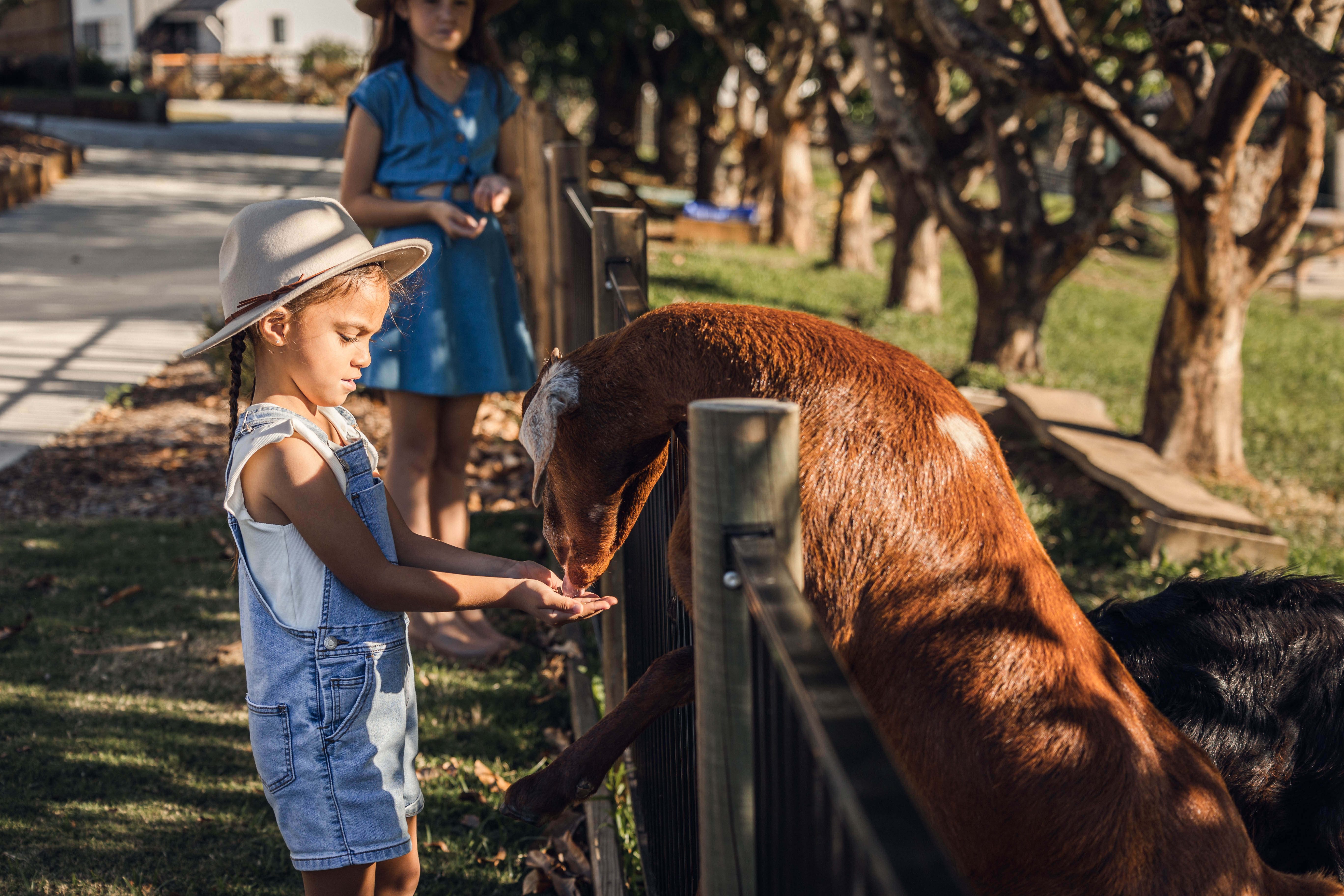 School holiday family fun at Seven Peaks Farm Stay near Brisbane