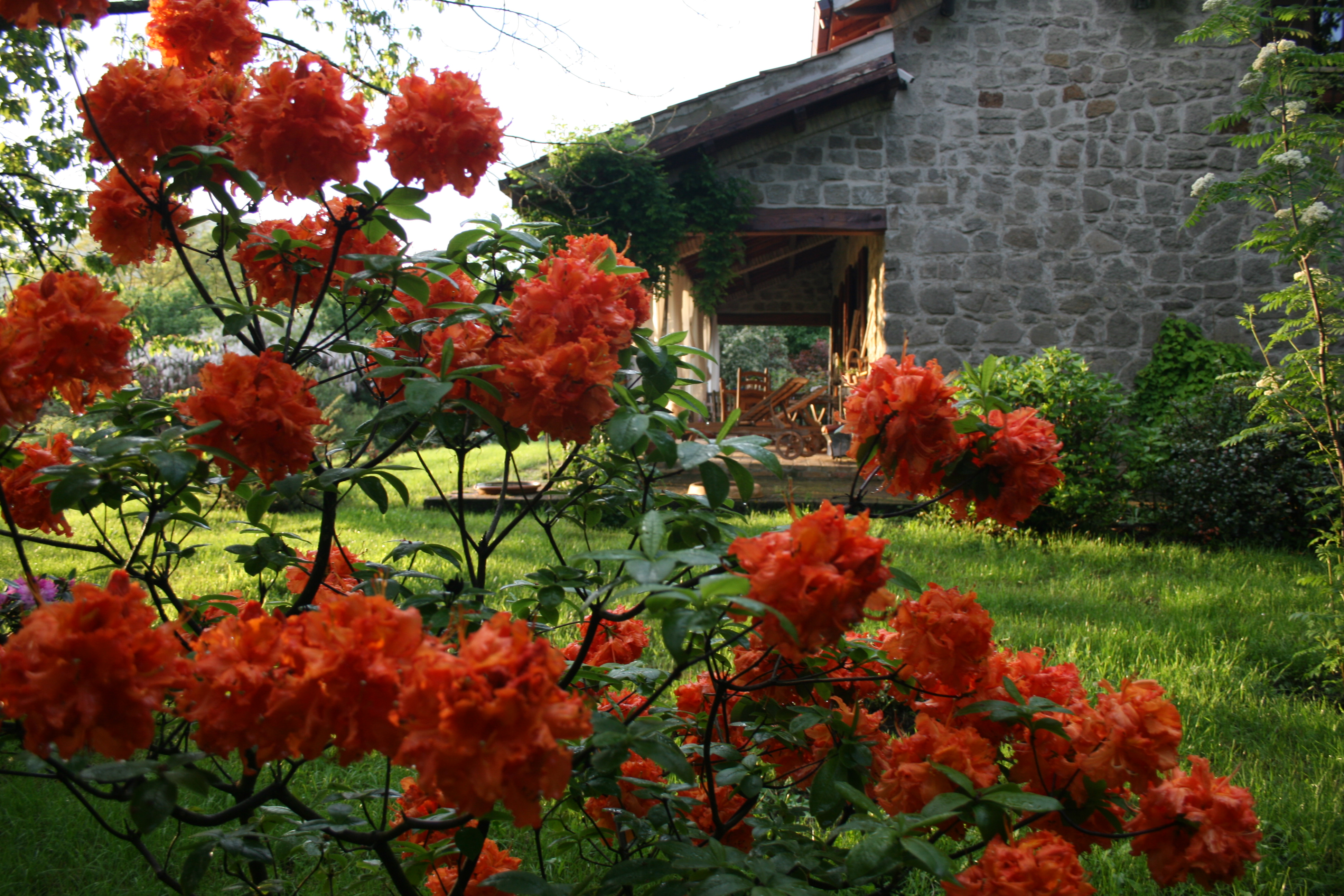 vico lake cottage rent