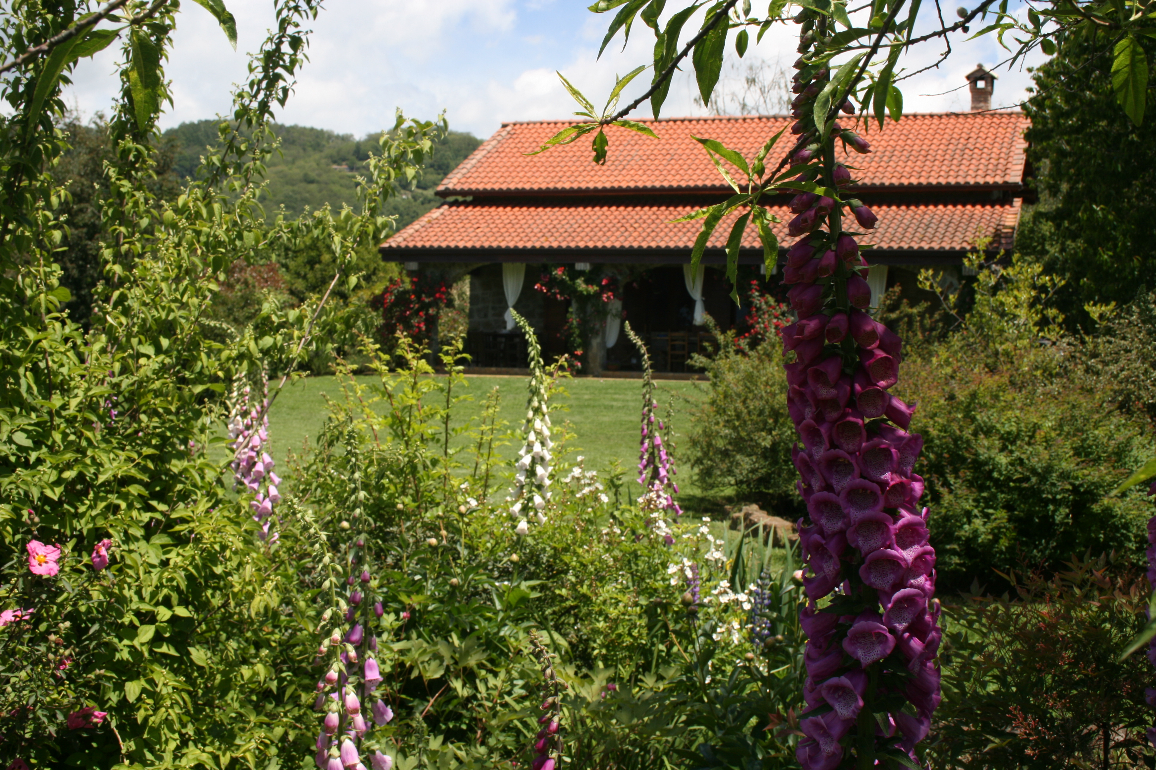 cottage beach vico lake