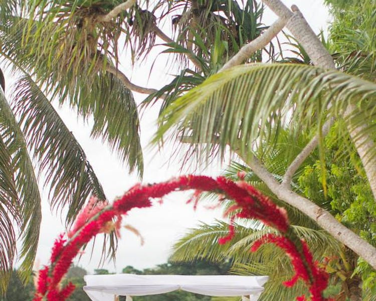 Wedding Ceremony on Coconut Beach Floral Arch with Bamboo Canopy #erakorbeachweddings #weddingceremonyonthebeachsouthpacific
