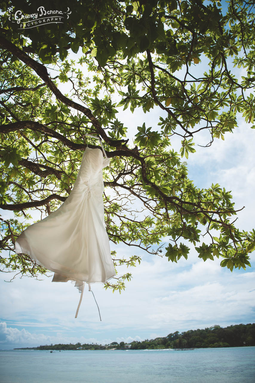 Wedding dress in tropical tree #erakorbeachweddings #weddingceremonyonthebeachsouthpacific #Vanuatutropicalbeachweddings