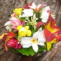 Colourful Bridal Bouquet erakor weddings #erakorbeachweddings #weddingceremonyonthebeach #tropicalbridalbouquet