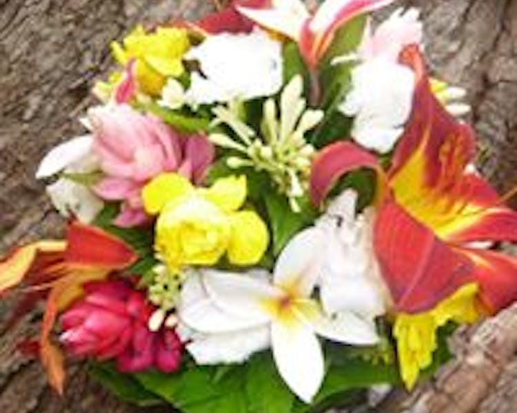 Colourful Bridal Bouquet erakor weddings #erakorbeachweddings #weddingceremonyonthebeach #tropicalbridalbouquet
